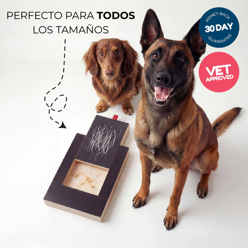 GARRAFACIL® - Lija para uñas de perro