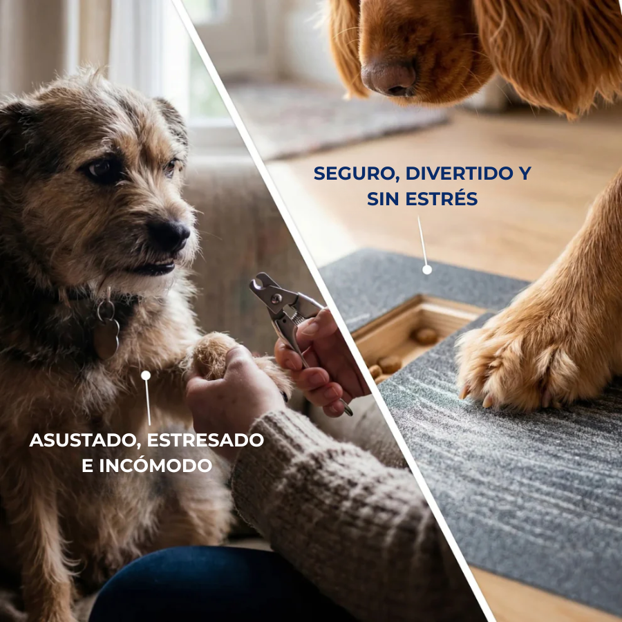 GARRAFACIL® - Lija para uñas de perro