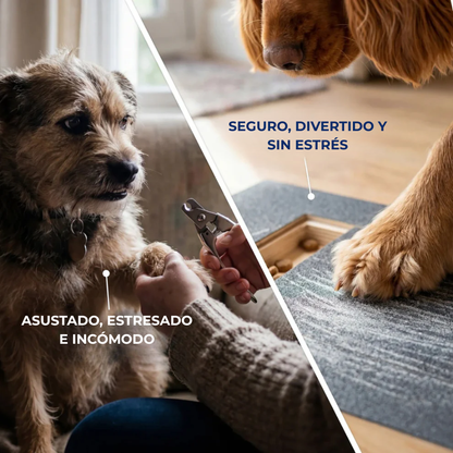 GARRAFACIL® - Lija para uñas de perro