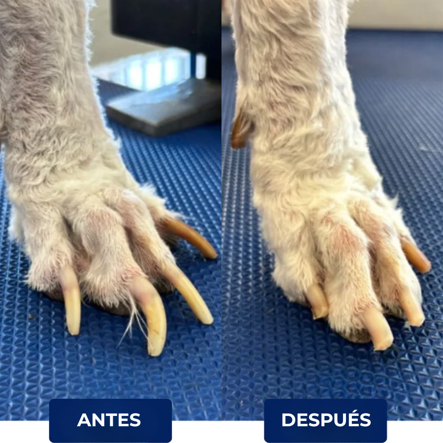 GARRAFACIL® - Lija para uñas de perro